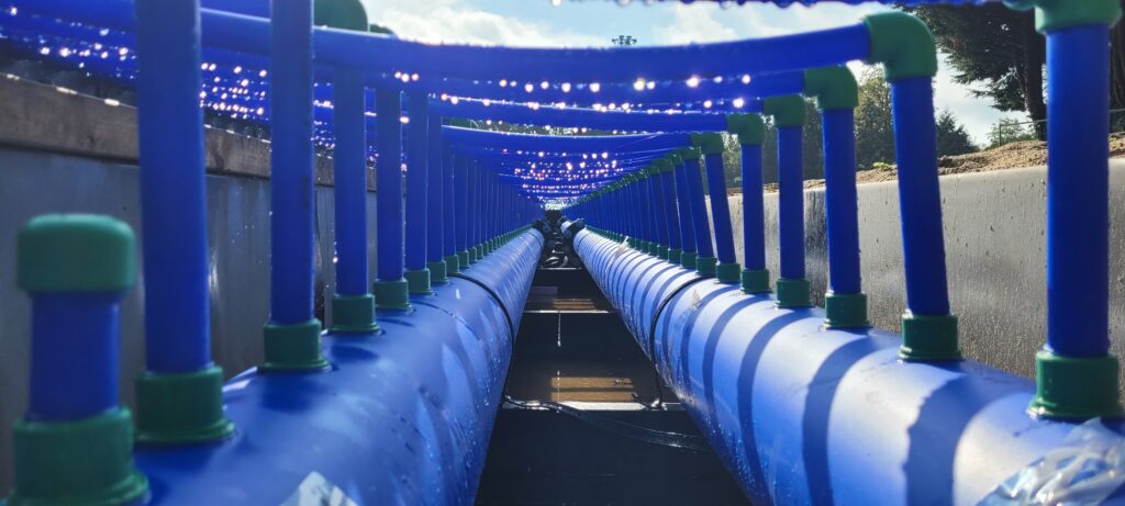 Aquatherm Blue Pipe leiding (PP-R SDR 17.6 25x3.5 mm)